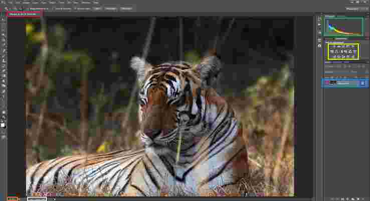 Photoshop for Beginners