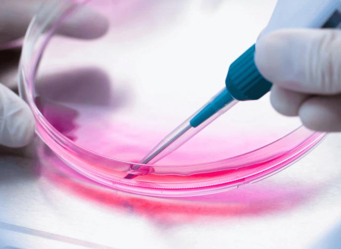 How Does MetID Improve Metabolite Identification Accuracy?